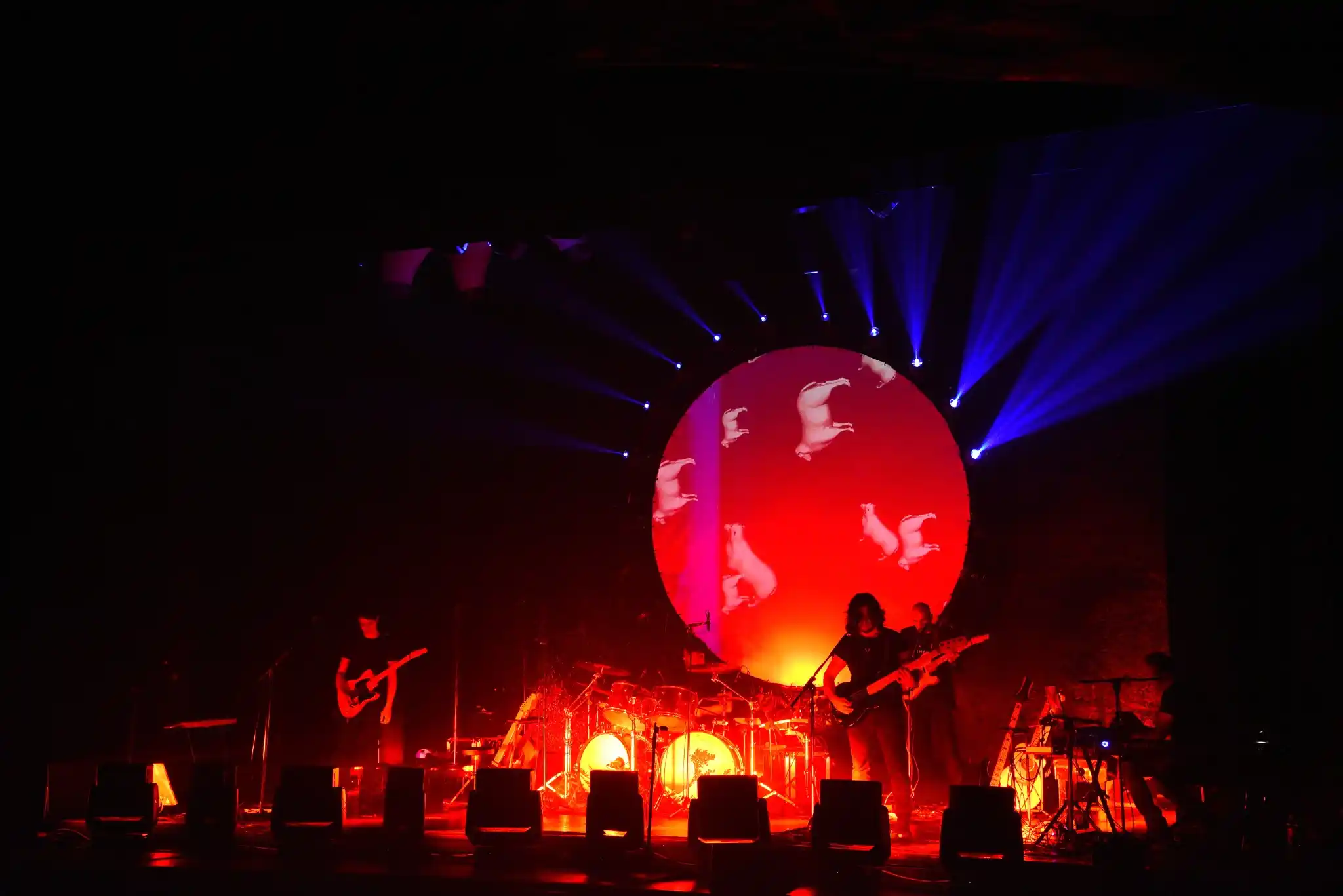 Backstage and lights for the song Animals